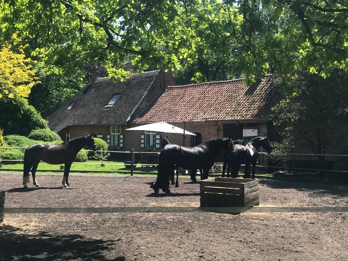De Swaenhoeve Zoersel Exterior photo